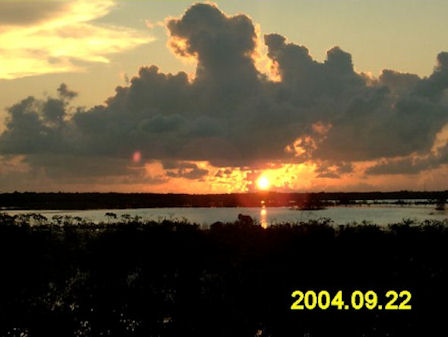 Shot location is the Saddlebunch Keys, Florida Keys