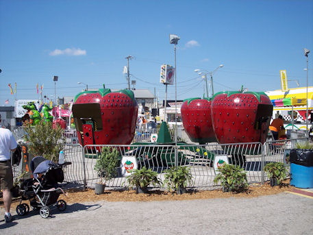 Family trip to the Plant City Florida Strawberry Festival 2009.