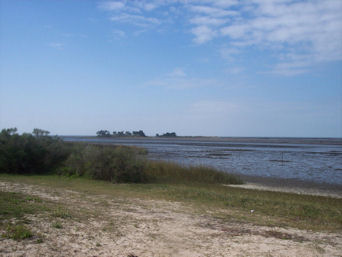 West end of State road 40