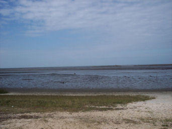 West end of State road 40