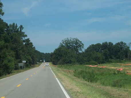Tree located in Mississippi near State border to Alabama