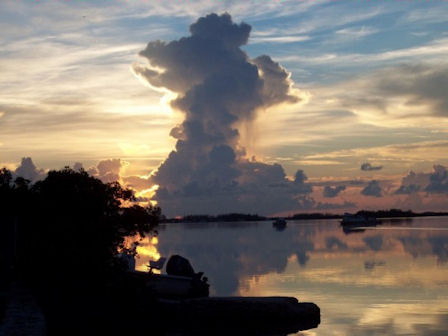 Located off a public boat ramp on Stock Island, Florida Keys
