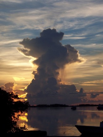 Located off a public boat ramp on Stock Island, Florida Keys
