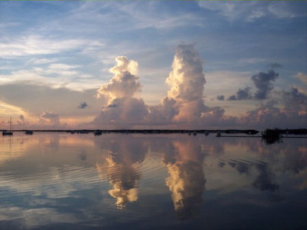 Located off public boat ramp on Stock Island, Florida Keys