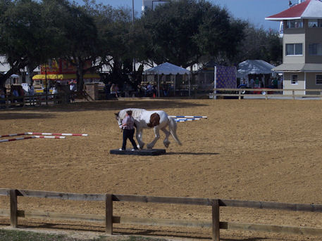 Family trip to the Florida State Fair 2009.