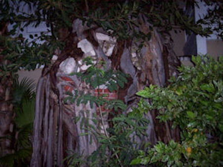 Located at the Pierhouse in Key West, Florida