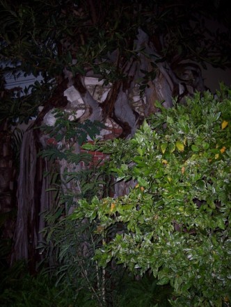 Located at the Pierhouse resort in Key West, Florida