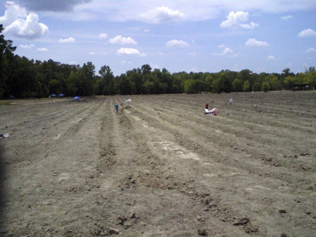 Only Diamond Mine in the US, located in Arkansas