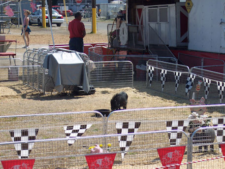 Family trip to the Plant City Florida Strawberry Festival 2009.