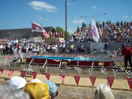 Family trip to the Plant City Florida Strawberry Festival 2009.